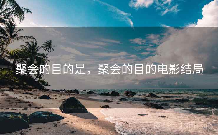 聚会的目的是，聚会的目的电影结局