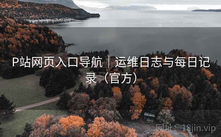P站网页入口导航｜运维日志与每日记录（官方）