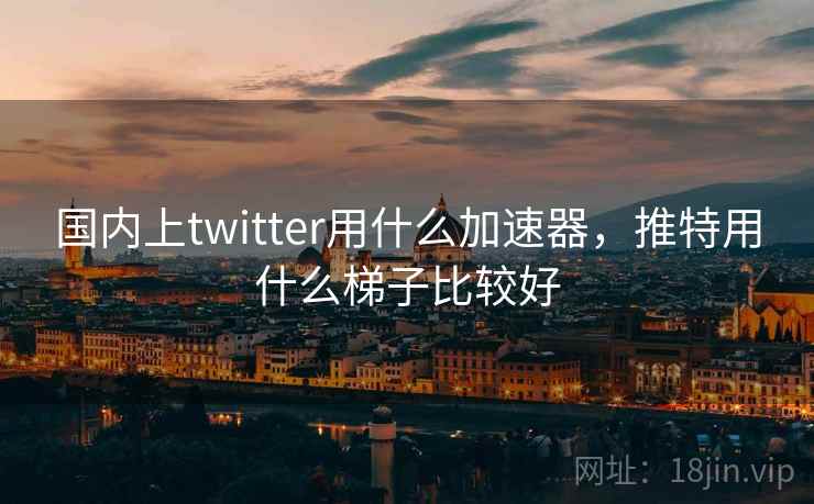 国内上twitter用什么加速器，推特用什么梯子比较好