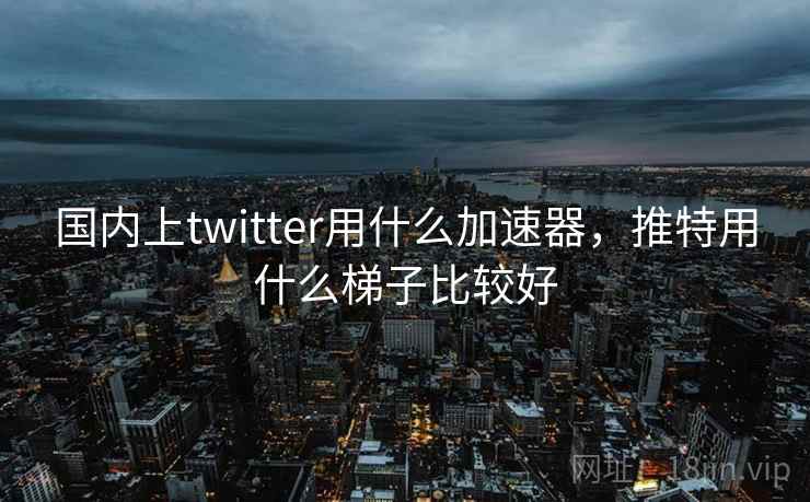 国内上twitter用什么加速器，推特用什么梯子比较好