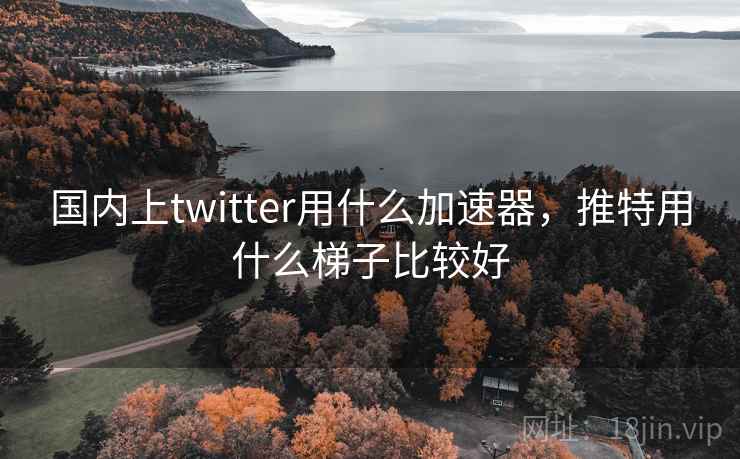 国内上twitter用什么加速器，推特用什么梯子比较好
